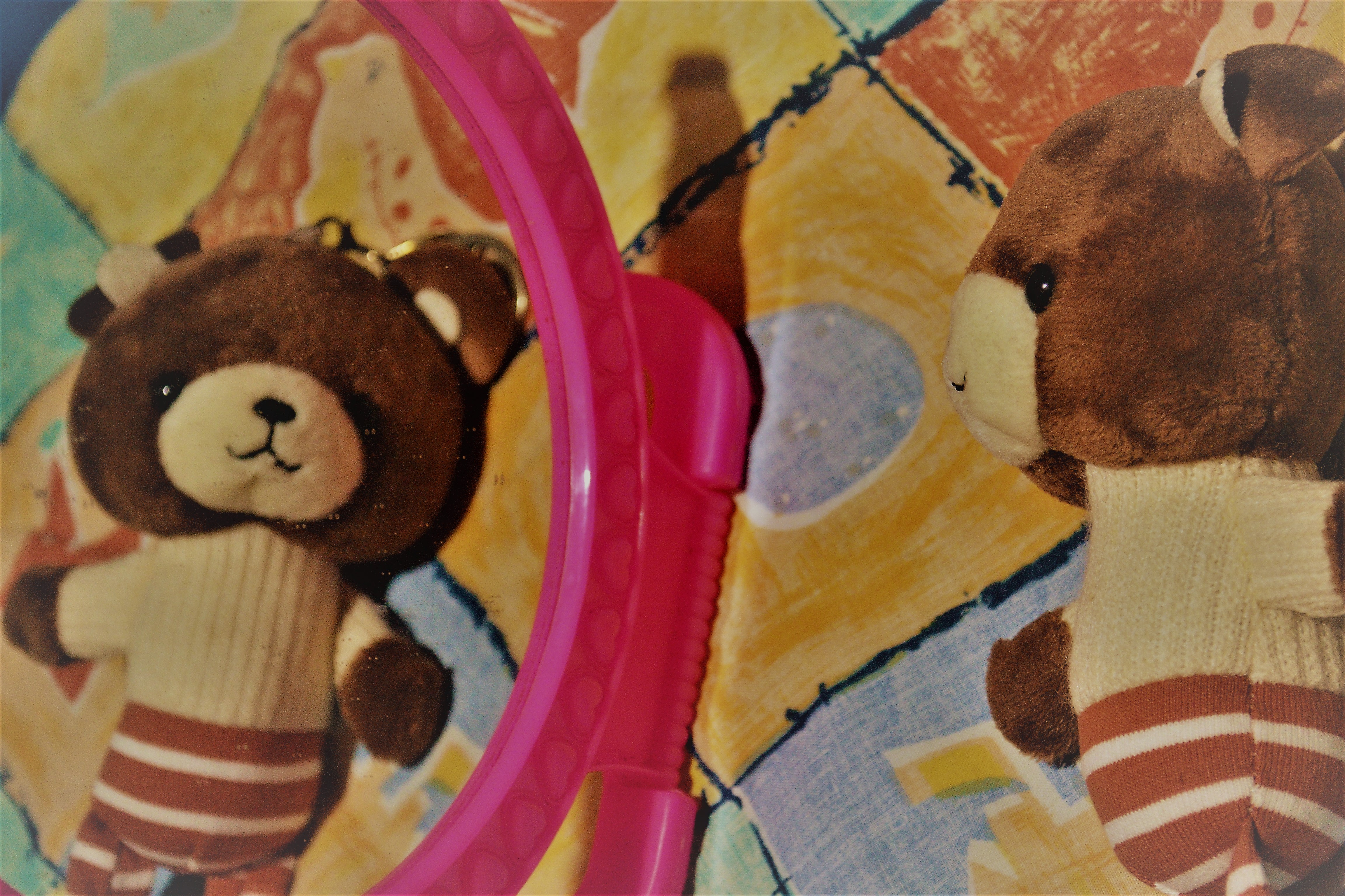 Teddy shot 1 - rbslopez-photography-teddy